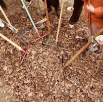 Мы за чистый город ♻️🌱 Мы за чистый город ♻️🌱.