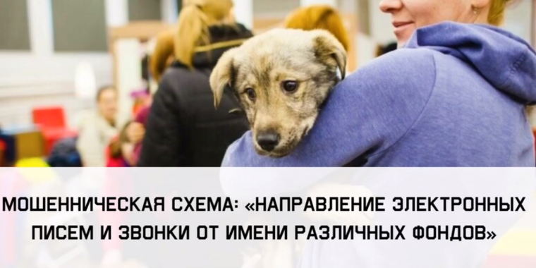 Мошенническая схема "Электронные письма, сообщения и звонки т имени различных фондов" Мошенническая схема "Электронные письма, сообщения и звонки т имени различных фондов".